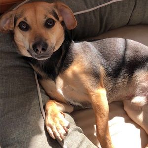 Meet your Posher, Ariah